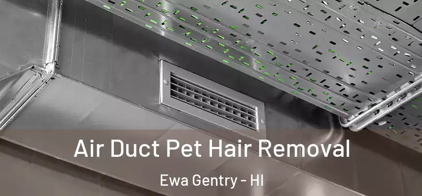  Air Duct Pet Hair Removal Ewa Gentry - HI