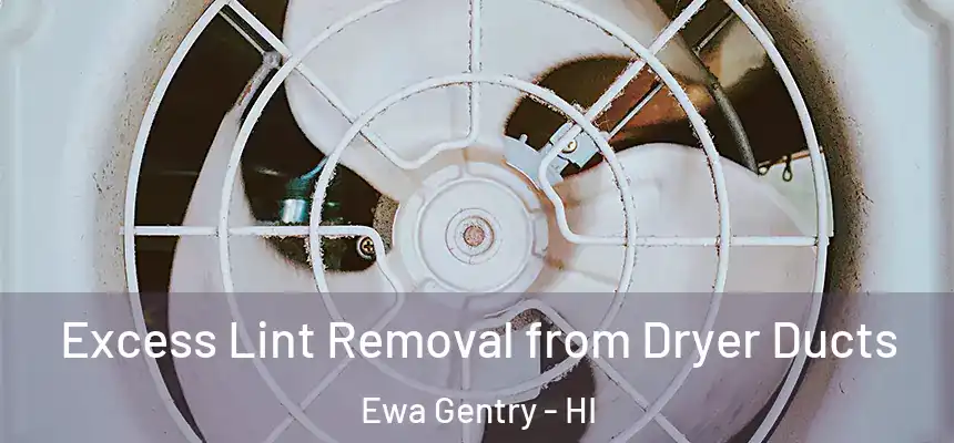 Excess Lint Removal from Dryer Ducts Ewa Gentry - HI