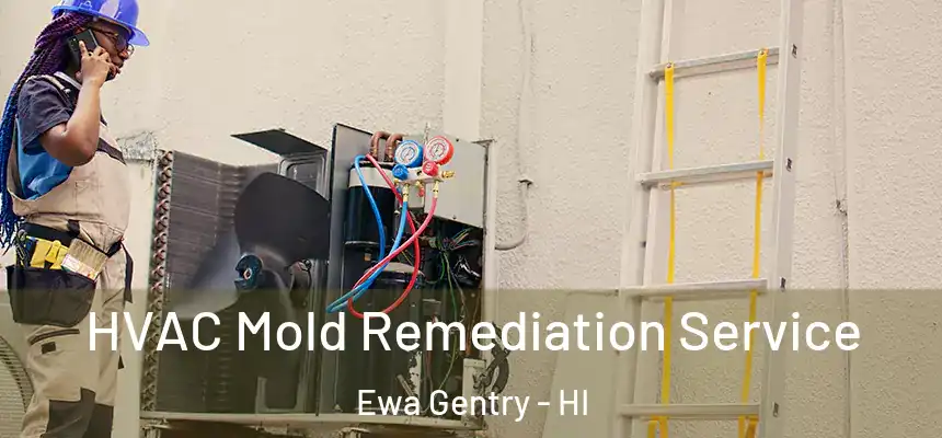 HVAC Mold Remediation Service Ewa Gentry - HI