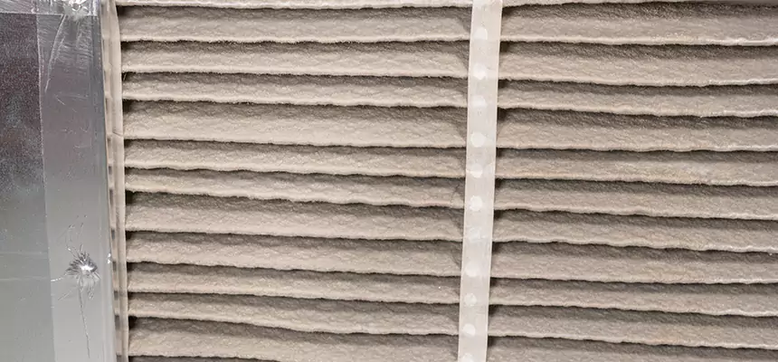 Mobile Car AC Filter Replacement in Ewa Gentry