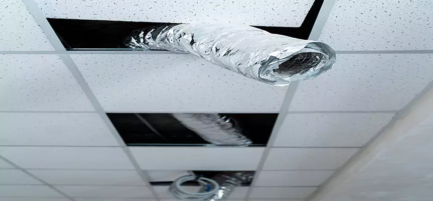 Affordable HVAC Sanitizing After Pest Removal in Ewa Gentry