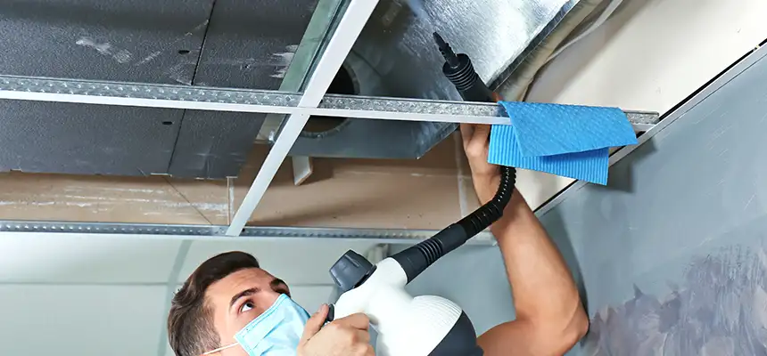 Our Air Duct Rodent Removal Services in Ewa Gentry, HI