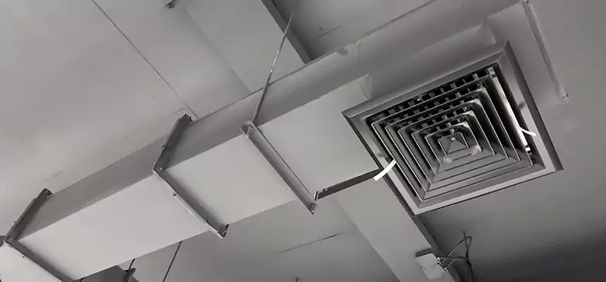 Our Rodent Droppings In Vents Services in Ewa Gentry, HI