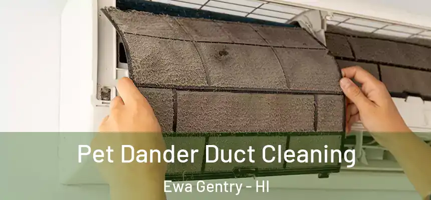  Pet Dander Duct Cleaning Ewa Gentry - HI