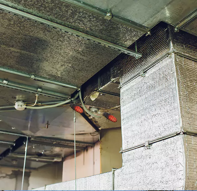 Why Homeowners & Businesses Trust Us in Ewa Gentry, HI?