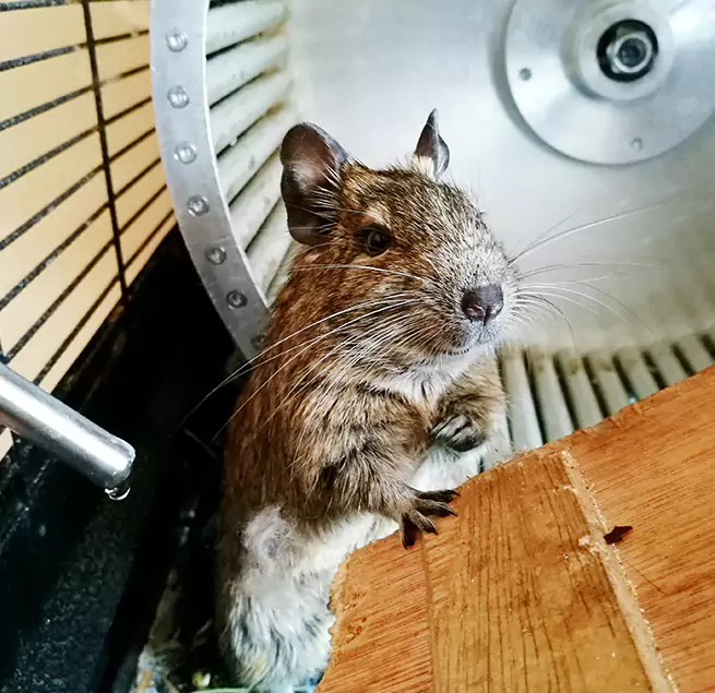 Why Homeowners & Businesses Trust Us Ewa Gentry, HI?