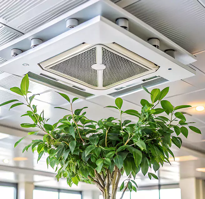 Why Homeowners & Businesses Trust Us in Ewa Gentry, HI