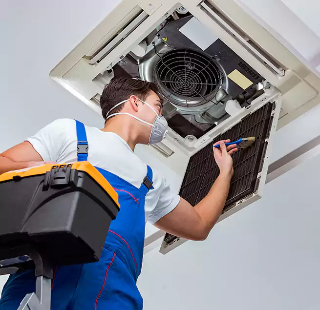 Why Homeowners & Businesses Trust Us in Ewa Gentry, HI?