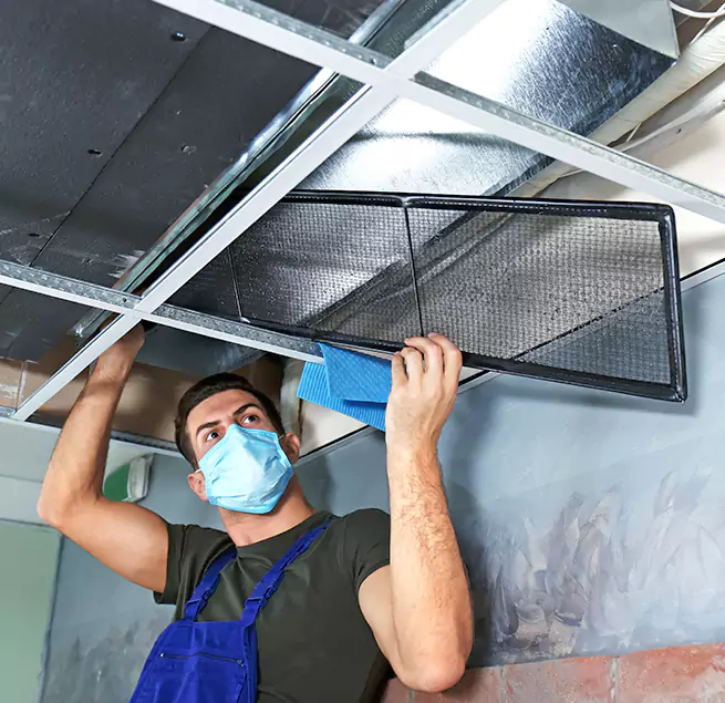 Why Homeowners & Businesses Trust Us in Ewa Gentry, HI?